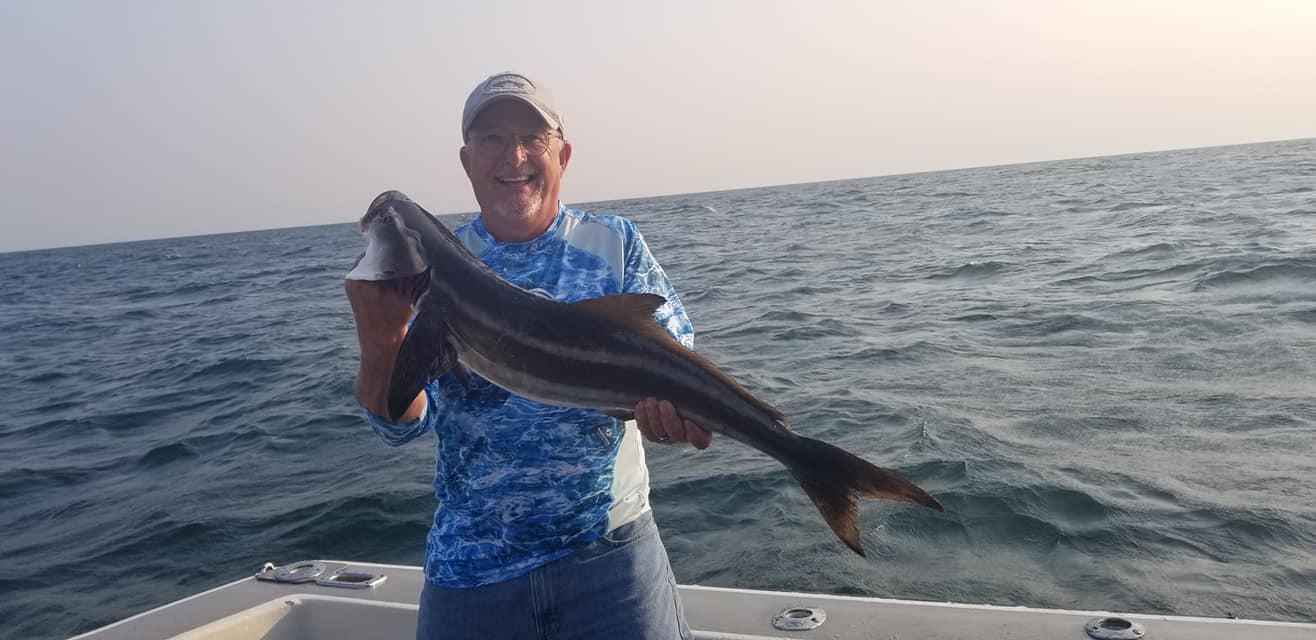 Cobia Fishing