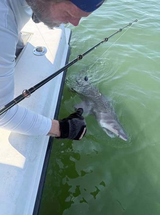 Shark Fishing Va Beach