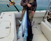 484006697 641562795272142 n