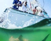 virginia beach fishing 20 20200828