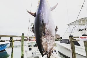 virginia beach fishing 4 20200828